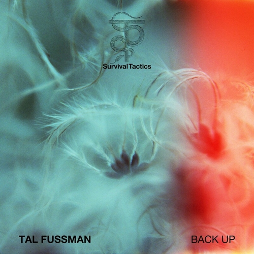 Tal Fussman - Back Up [ST002]